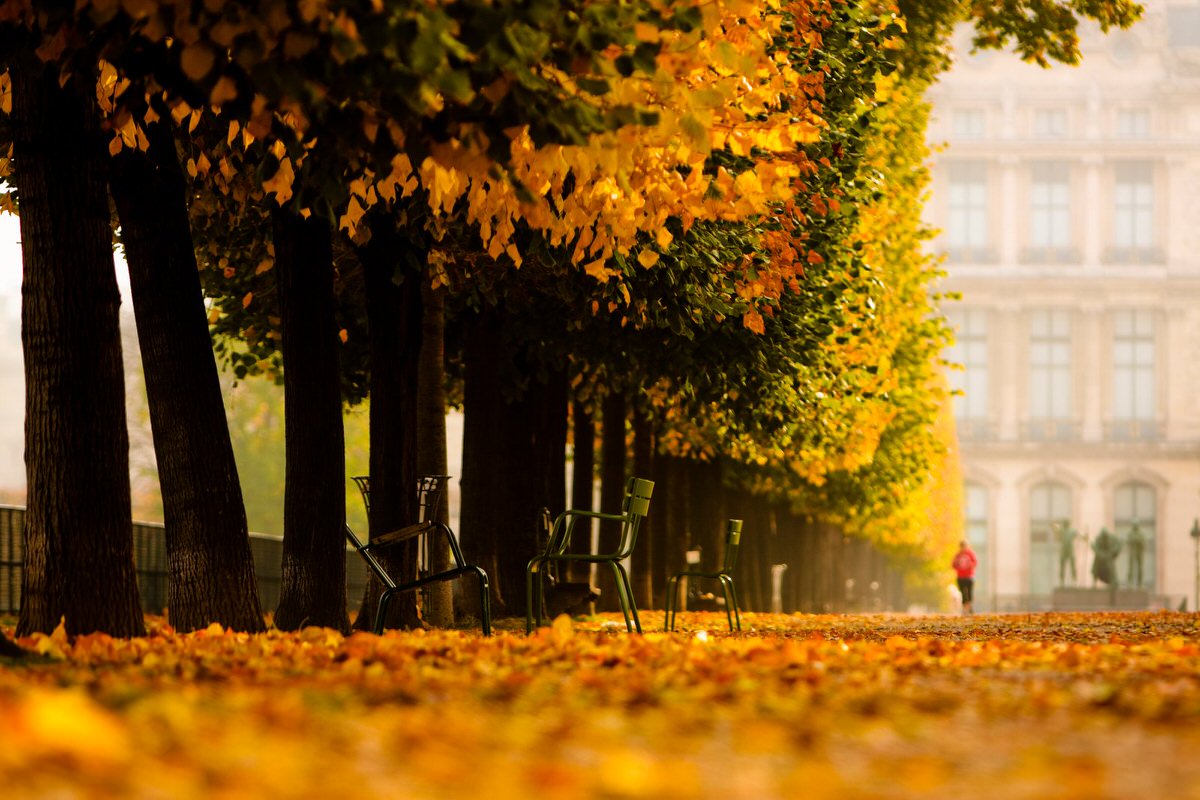 Autumn in Les Tuilleries in Paris 