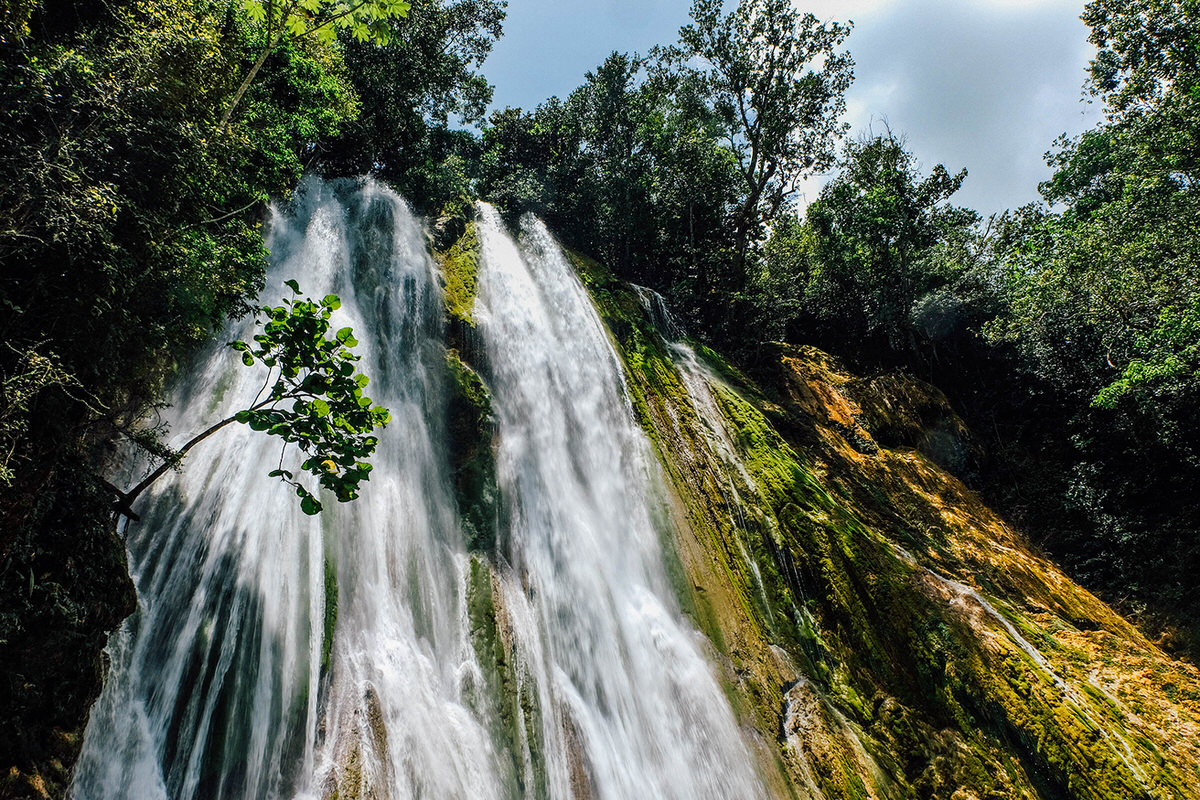 El Limon Waterfalls is surrounded with Samana's lushness.