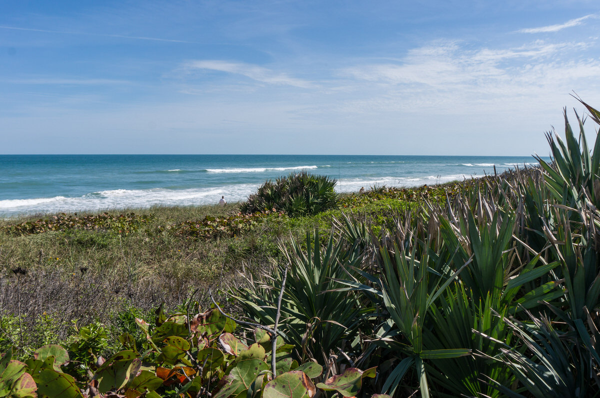 Canaveral National Seashore