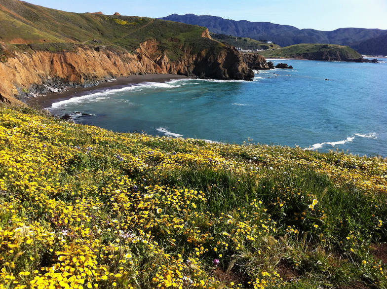 Beautiful Pacifica