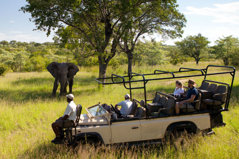 Ulusaba Private Game Reserve, South Africa