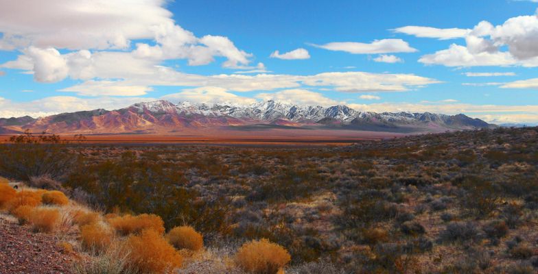 winter deals: Death Valley National Park