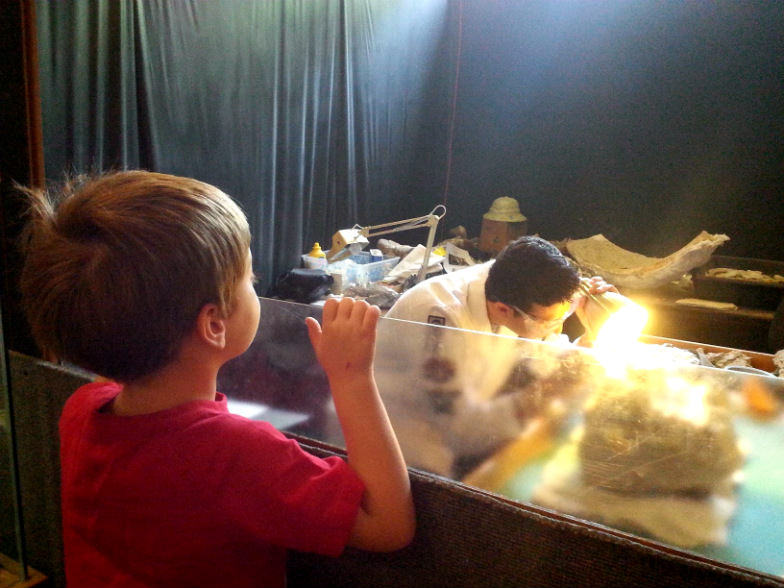 Future Scientist at the Natural History Museum