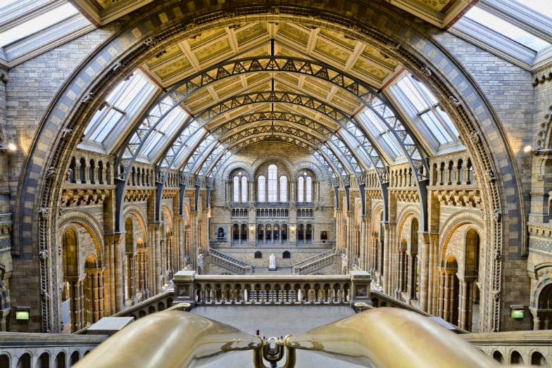 Inside the Natural History Museum