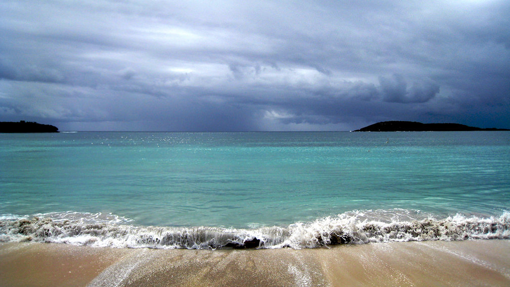 Puerto Rico's Vieques island is home to one of the few remaining bioluminescent bays in the world. 