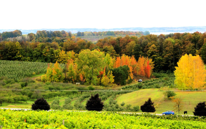 Traverse, Michigan in the Fall