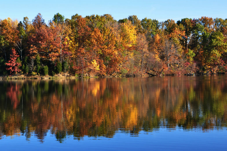 Fall Foliage at the Ohio State Parks