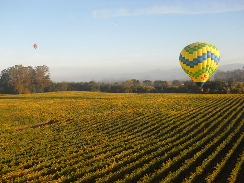 Fly over the vineyards in Sonoma County