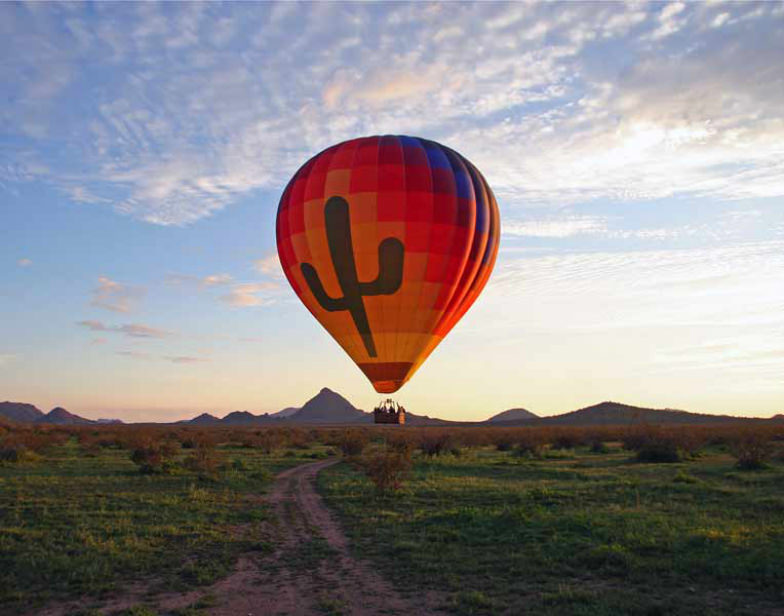 See the Sonoran Desert in Arizona from above 