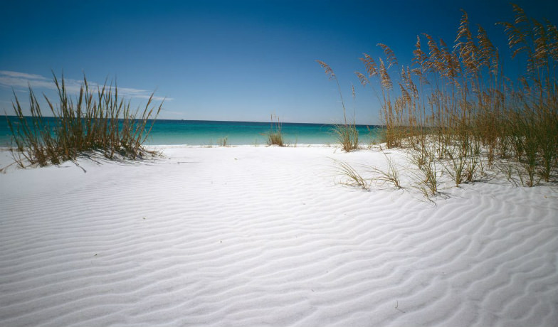 State Parks: Henderson Beach State Park