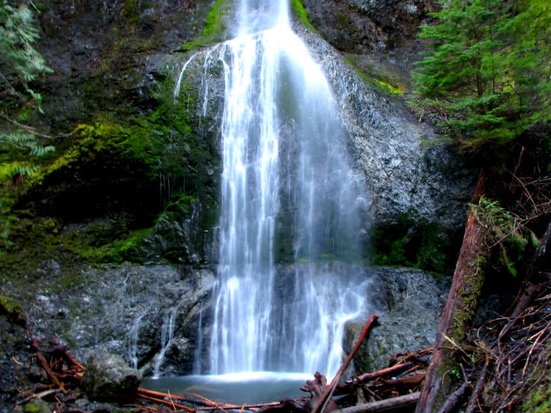 Marymere Falls Trail 