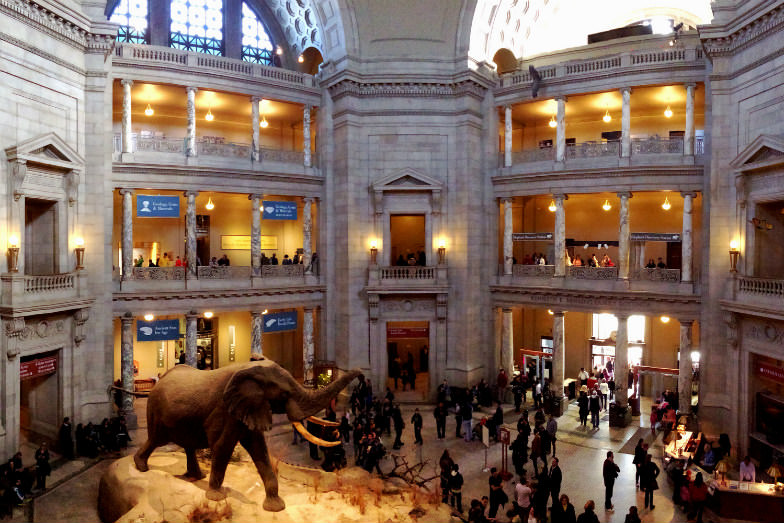 American Museum of Natural History in New York City