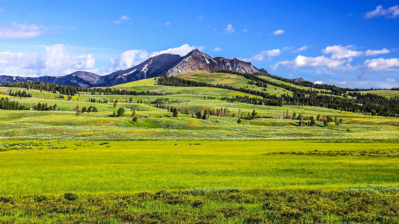 Yellowstone National Park