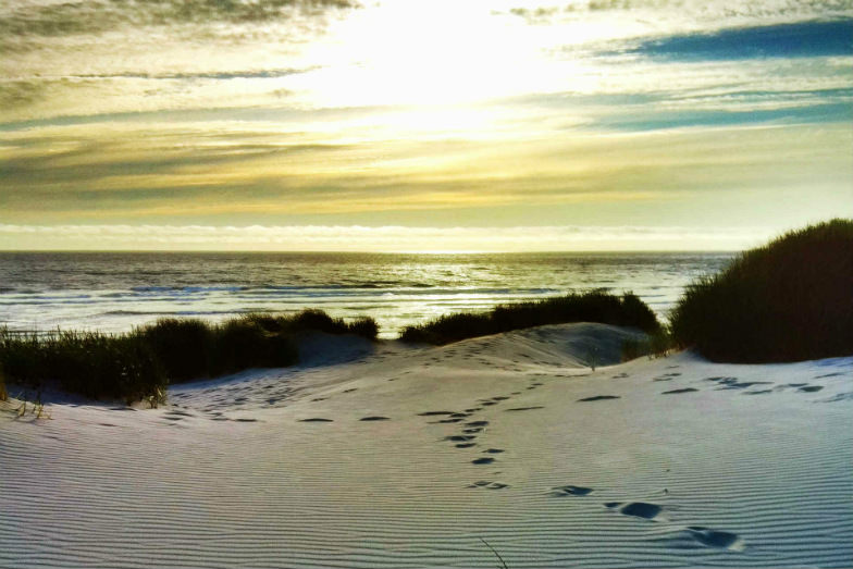 Nehalem Bay State Park in Oregon