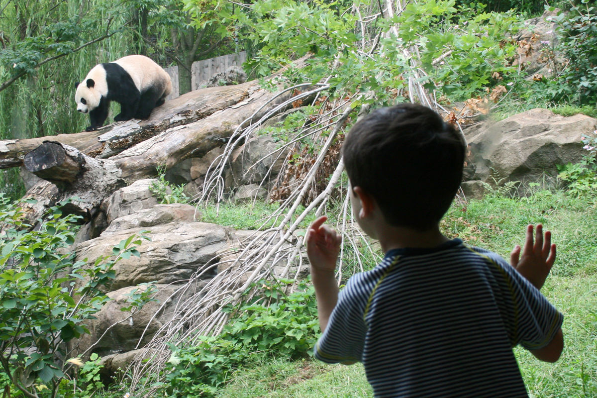 Central Park Zoo