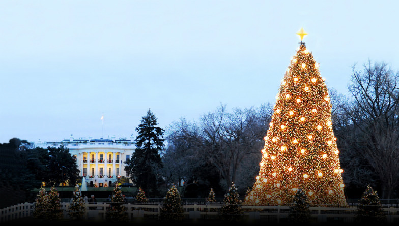 The National Christmas Tree in Washington DC