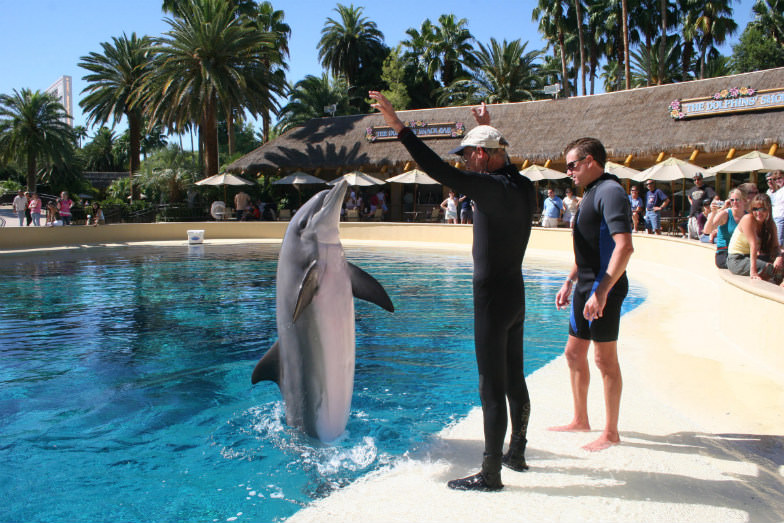 Siegfried and Roy’s Secret Garden and Dolphin Habitat