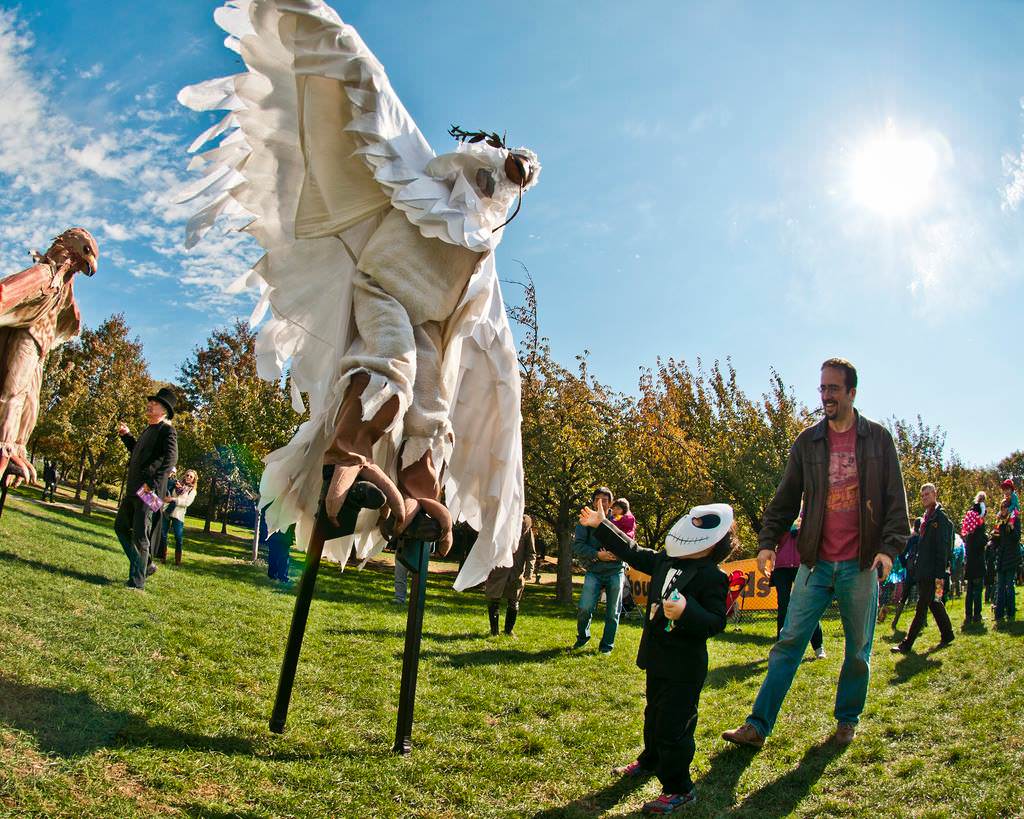 From Ghouls & Ghourds to fall markets, fall activities in Brooklyn are essential to the New York with kids experience.