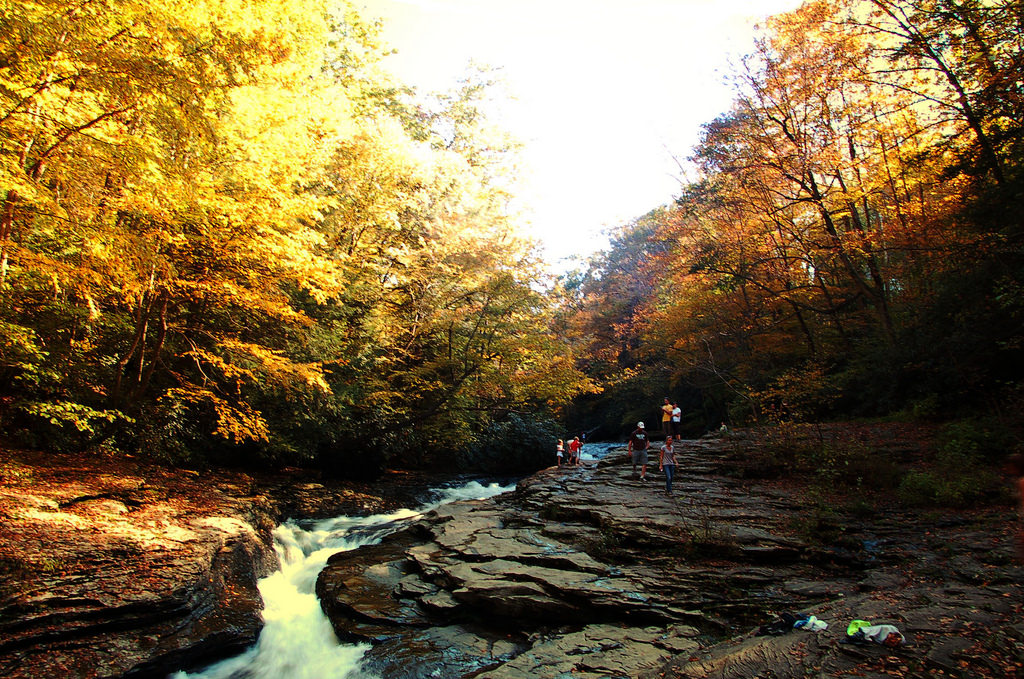 Ohiopyle State Park in Pennsylvania