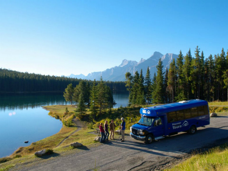 Go on a wildlife safari with Discover Banff Tours.