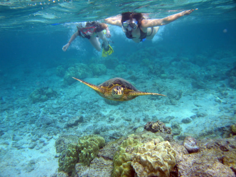 Snorkeling in Kailua-Kona