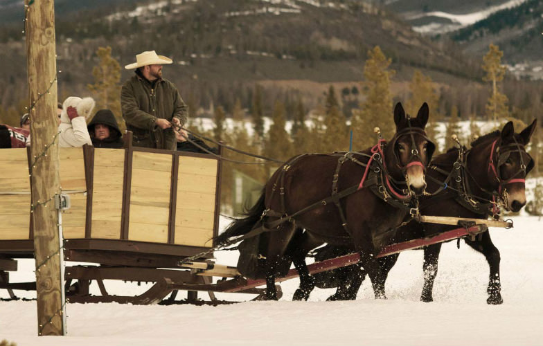 Two-Below Sleigh Ride