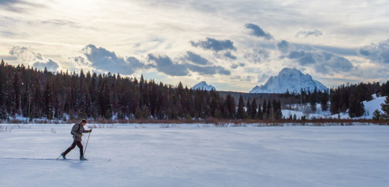 Wildlife Expedition with Teton Science