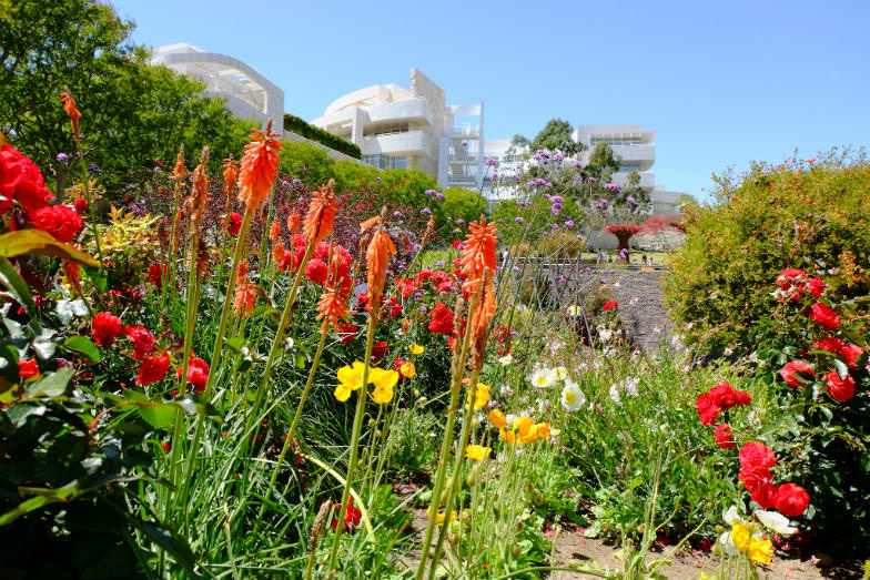 Beautiful garden at the Getty Center