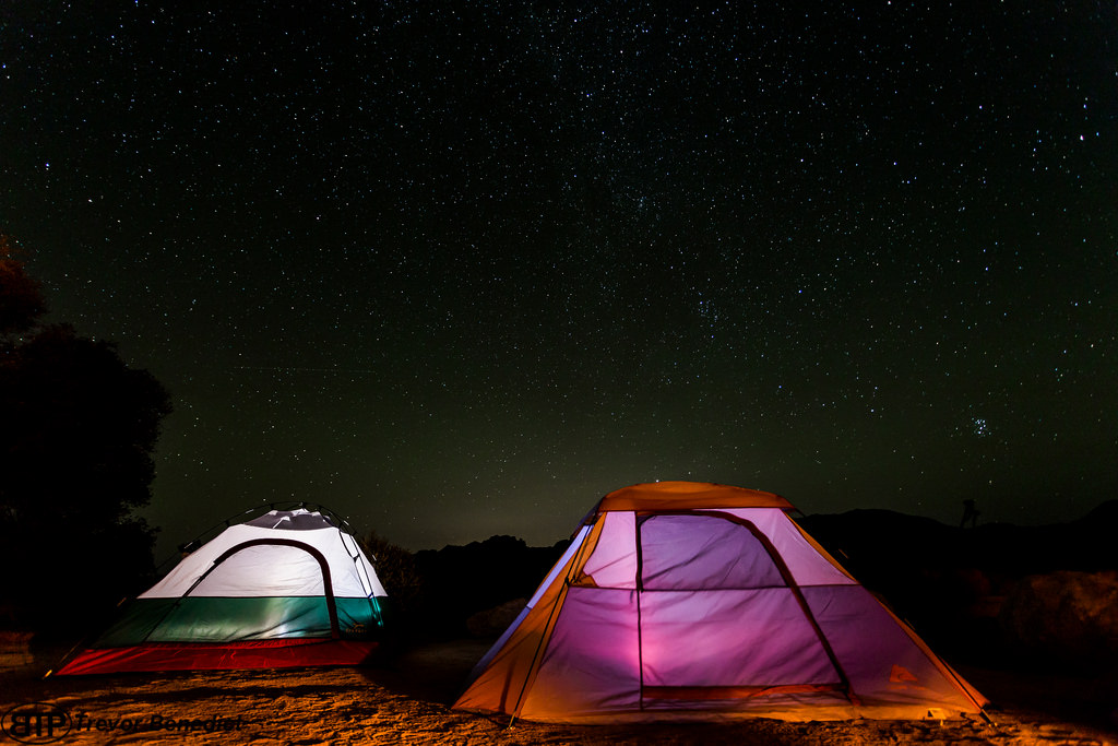 Joshua Tree is home to some of the best campground for families with kids.