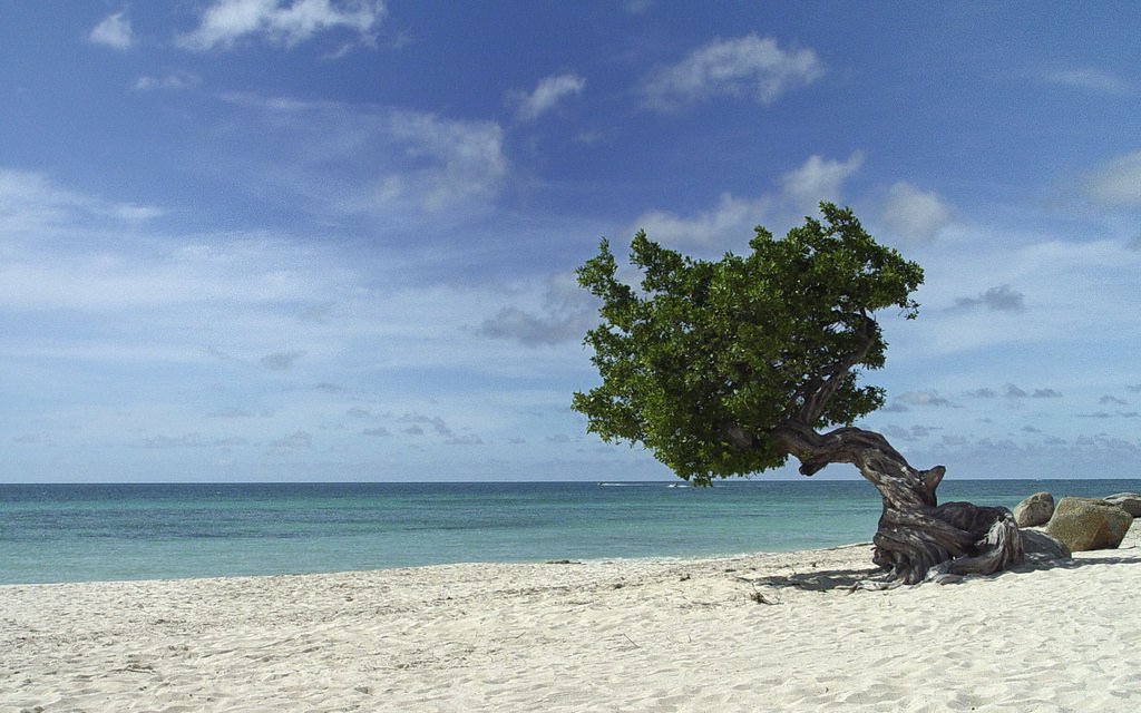 Aruba’s Eagle Beach is one of Aruba’s best family-friendly attractions.