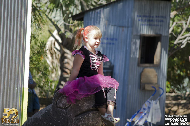 Boo! at the Zoo at the Phoenix Zoo