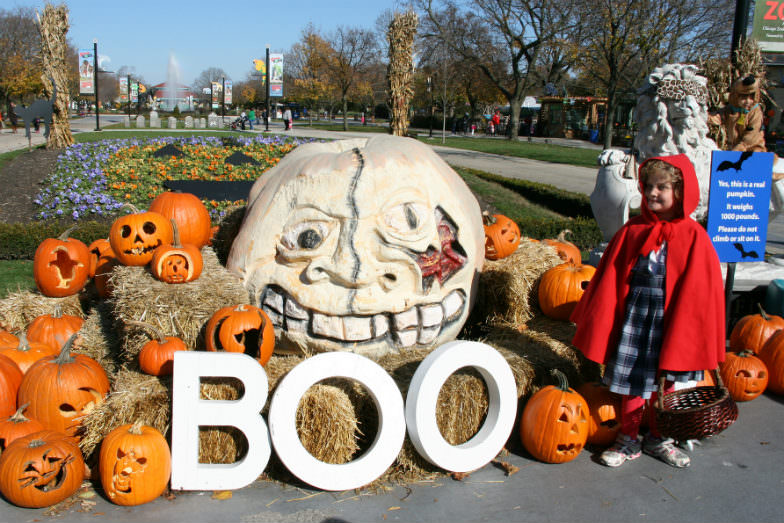 Boo! at the Zoo at Brookfield Zoo