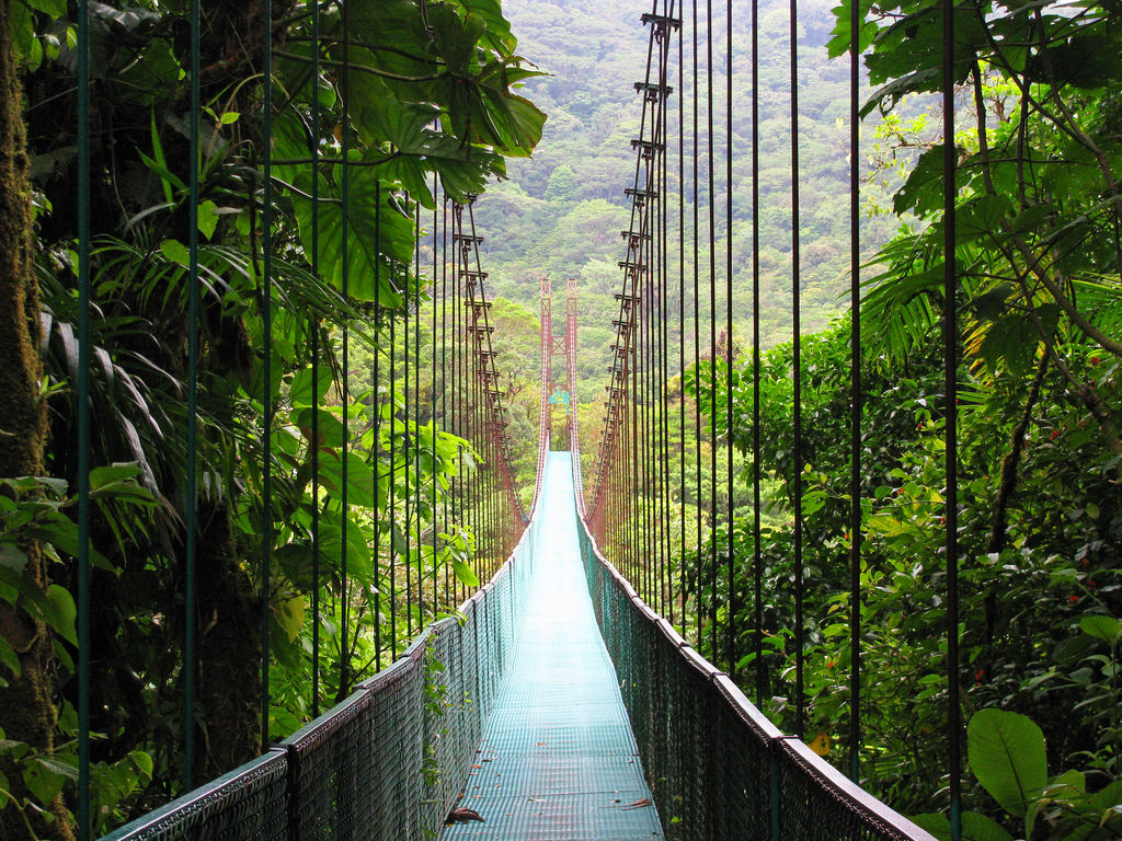 You must visit Monteverde Cloud Forest Reserve when you're in Costa Rica.