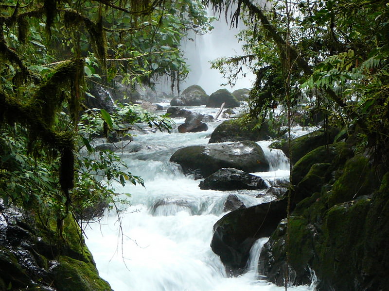 La Paz waterfalls and rapids are among Costa Rica's top natural attractions. 