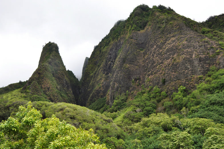 Iao Valley State Park Needle