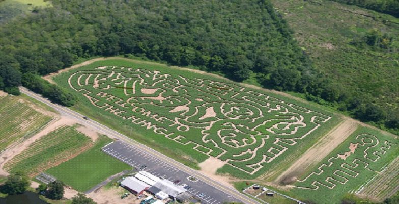 best corn mazes in the U.S.