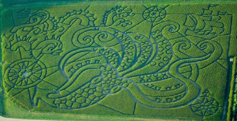 best corn mazes in the US