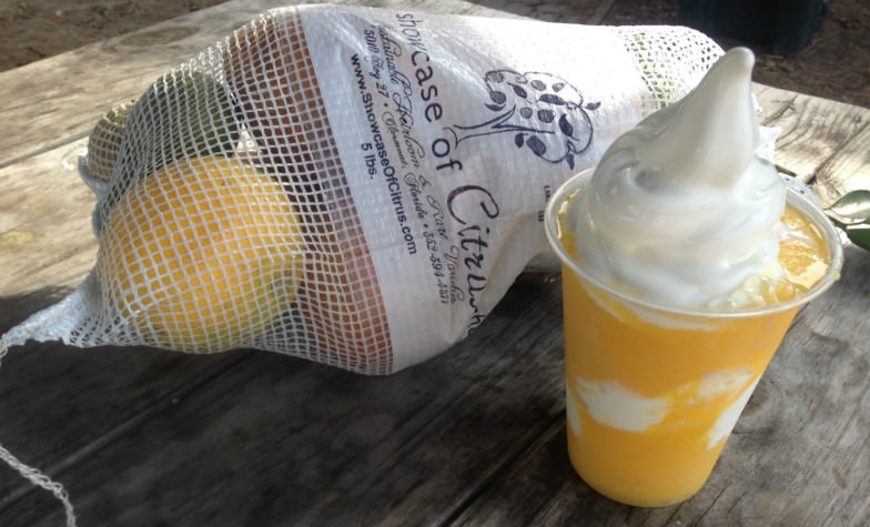 No trip is complete without the famous creamsicle, a creamy blend of orange juice and frozen yogurt. 