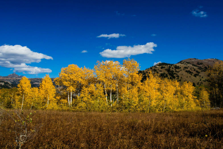 Grand Targhee in Wyoming