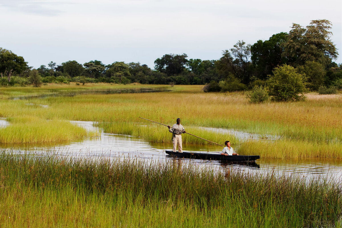 Boating safari on the legendary Okavango Delta