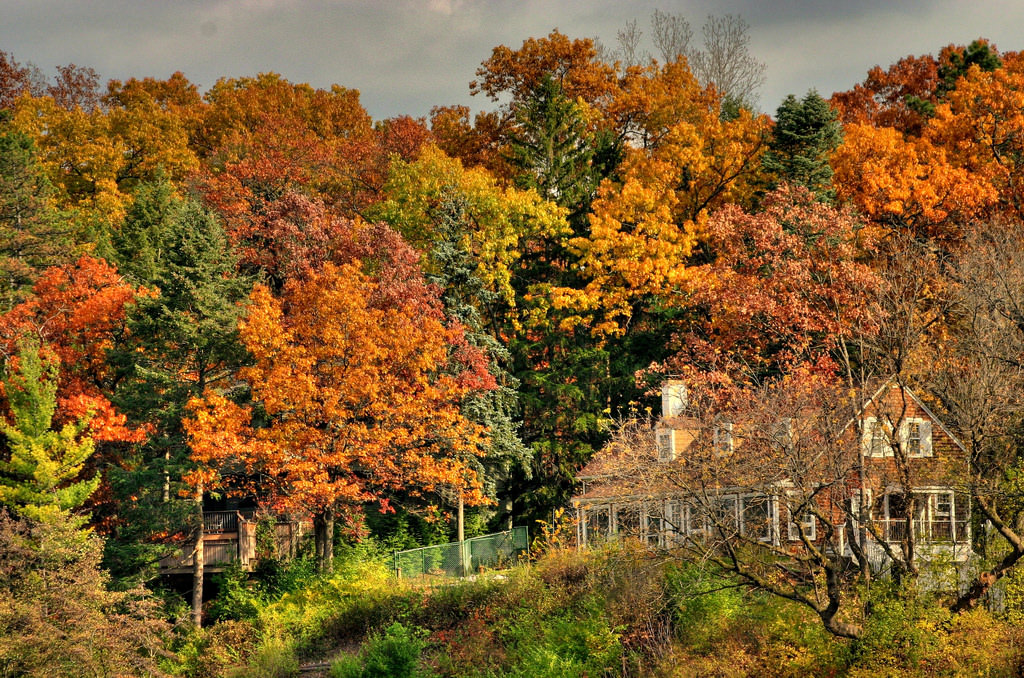 Ann Arbor, Michigan is a great college town to visit in the fall.