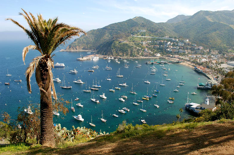 Catalina Island, California