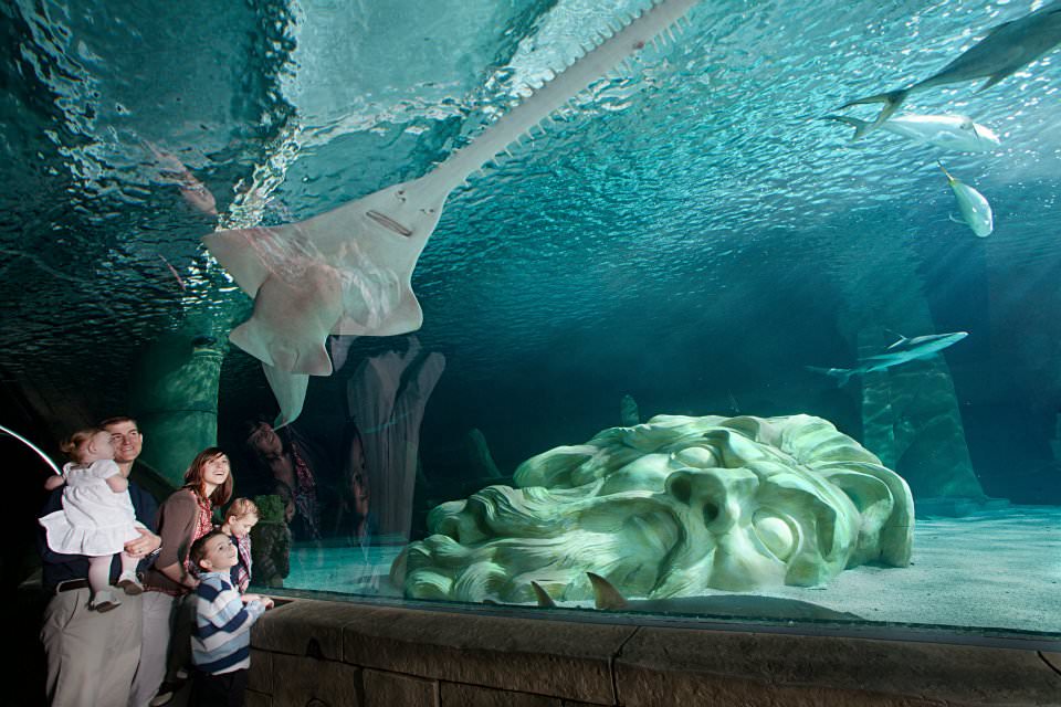 SEA LIFE Minnesota Aquarium