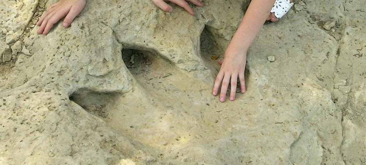 Dinosaur footprint