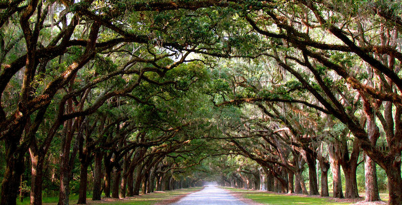 Wormsloe Historic Site