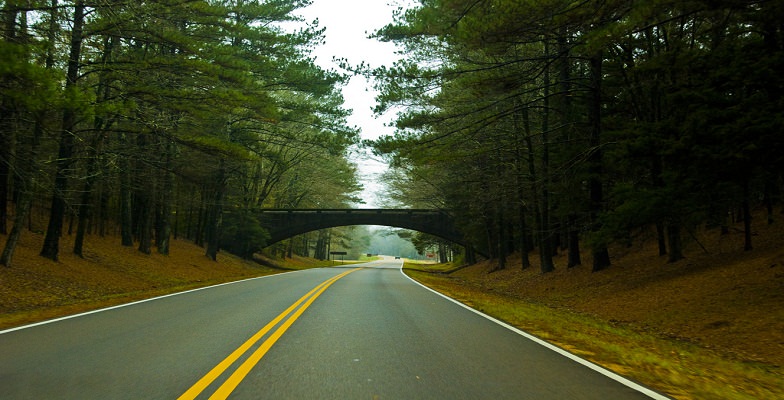 best fall road trips