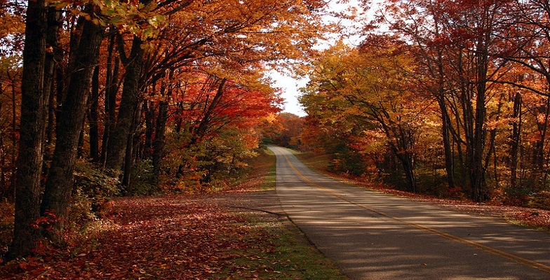 best fall road trips