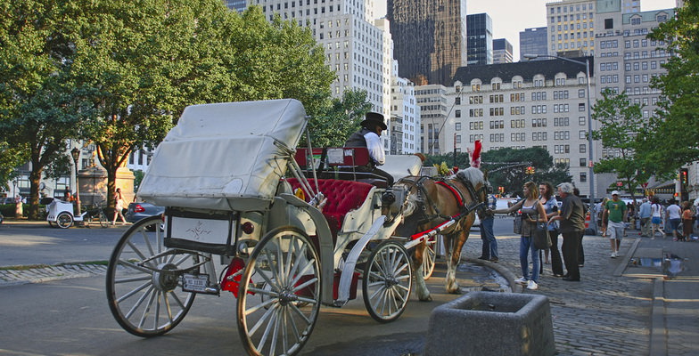 Central Park Carriage