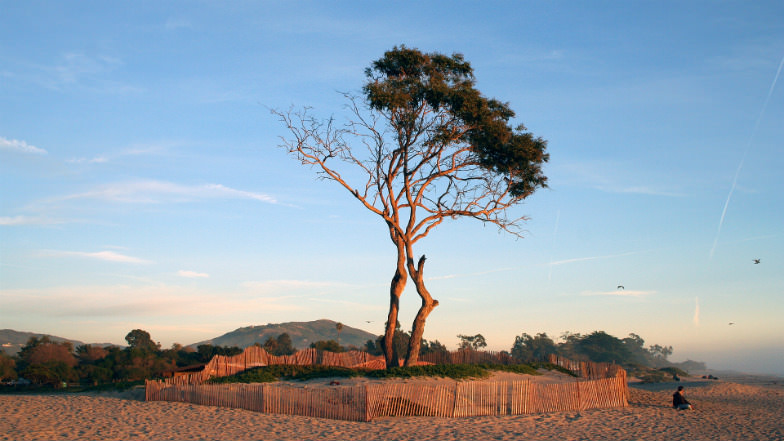 Carpinteria Beach