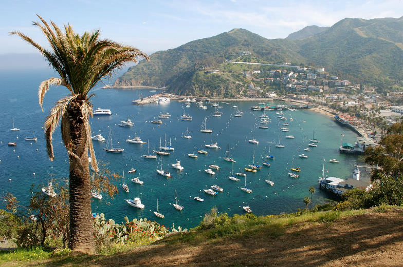 Avalon in Catalina Island